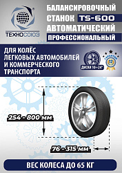 Комплект TS-3226A Станок шиномонтажный +TS-600 Балансировочный станок