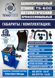 Комплект TS-3023A Станок шиномонтажный +TS-600 Балансировочный стенд для легковых авто